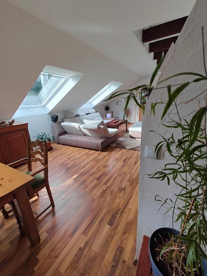Komfort Ferienwohnung Biene Saarbrücken Eksteriør billede